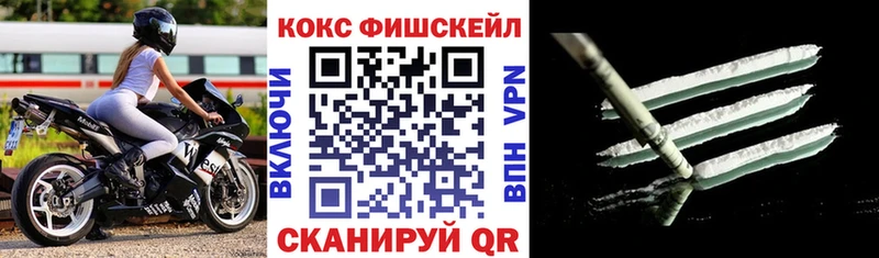 Купить закладки  Людиново  COCAIN VHQ 