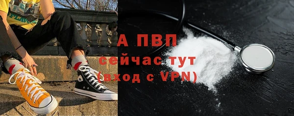 прущие крисы Горняк