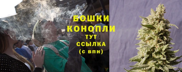 прущие крисы Горняк